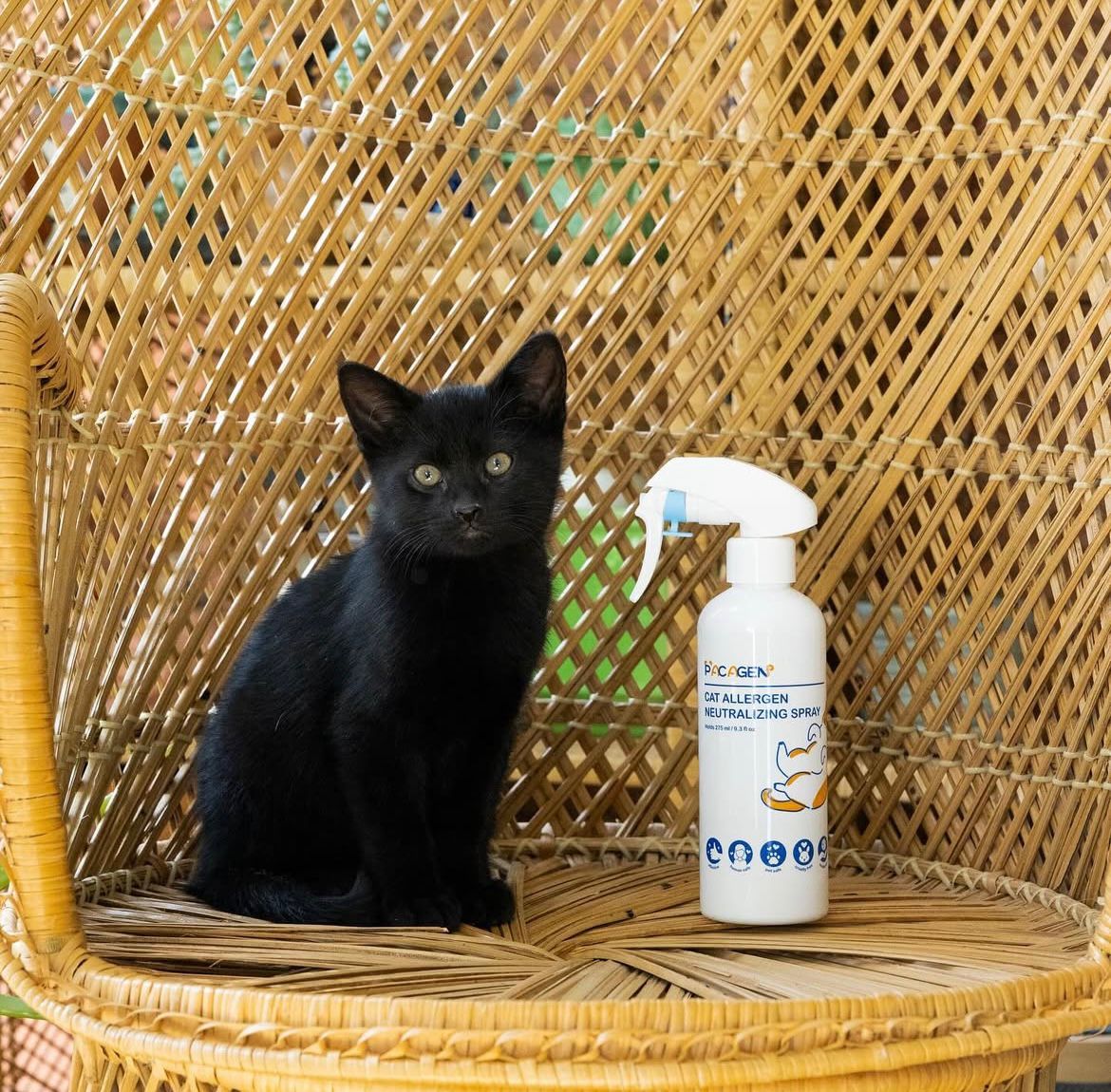 Pacagenix-Cat Allergen Neutralizing Spray